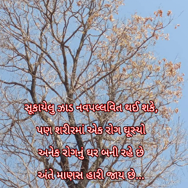 Gujarati Blog by Bhavna Bhatt : 111867909