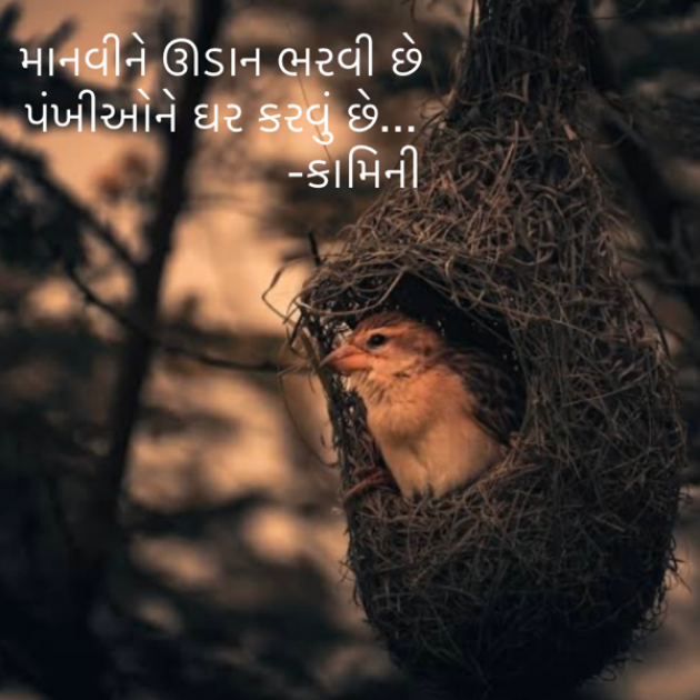 Gujarati Poem by Kamini Shah : 111868041