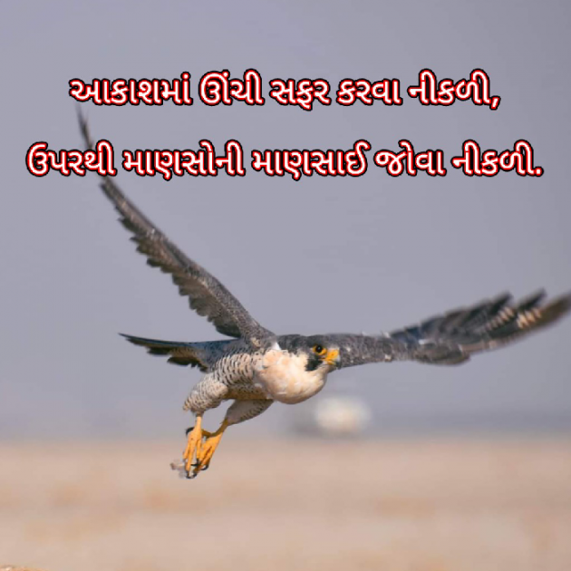 Gujarati Blog by Bhavna Bhatt : 111868147