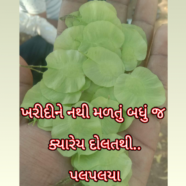 Gujarati Blog by Bhavna Bhatt : 111868265