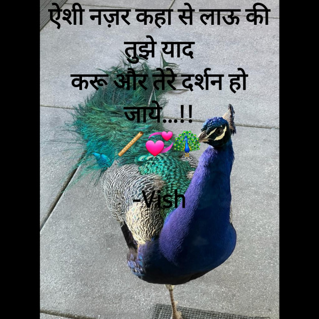 Hindi Good Morning by Vish : 111868546