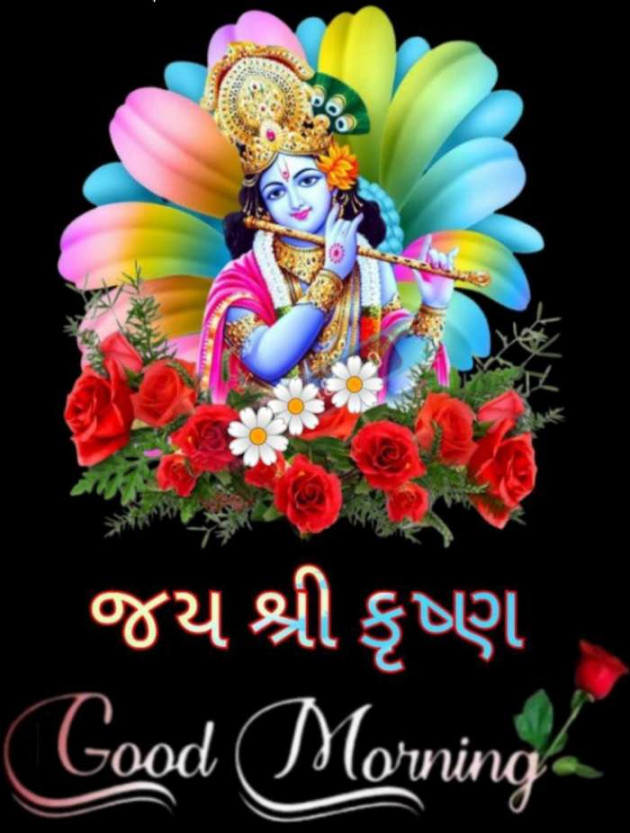 Gujarati Whatsapp-Status by Zala Jayvirsinh : 111868861