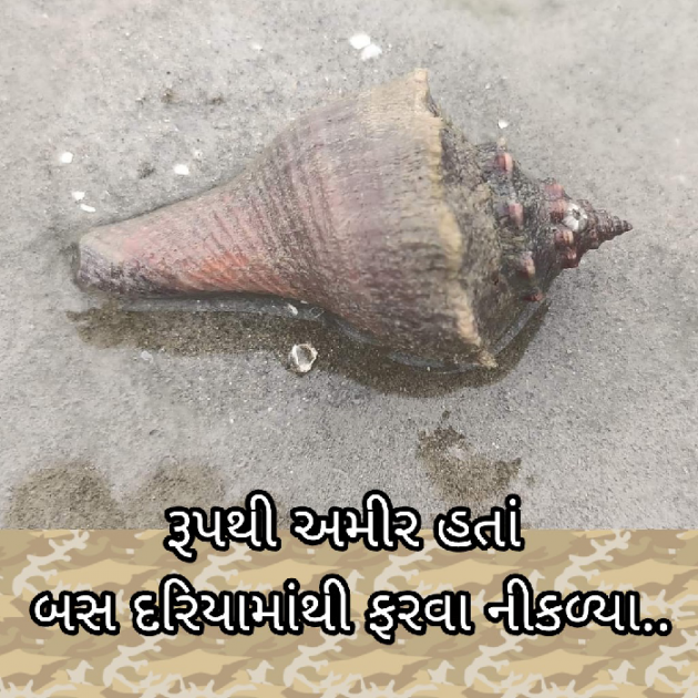 Gujarati Blog by Bhavna Bhatt : 111869352