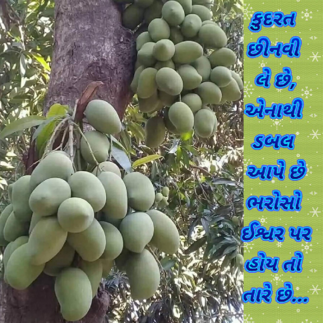 Gujarati Blog by Bhavna Bhatt : 111869515