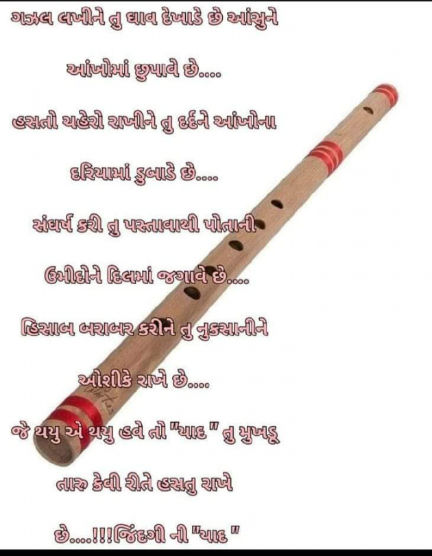 Gujarati Whatsapp-Status by Ajit : 111869908