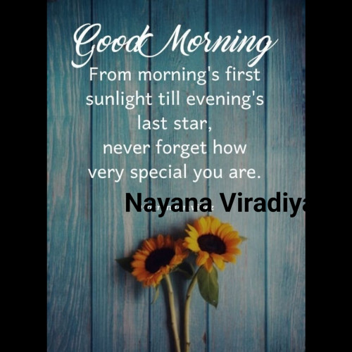 Post by Nayana Viradiya on 15-Apr-2023 09:06am
