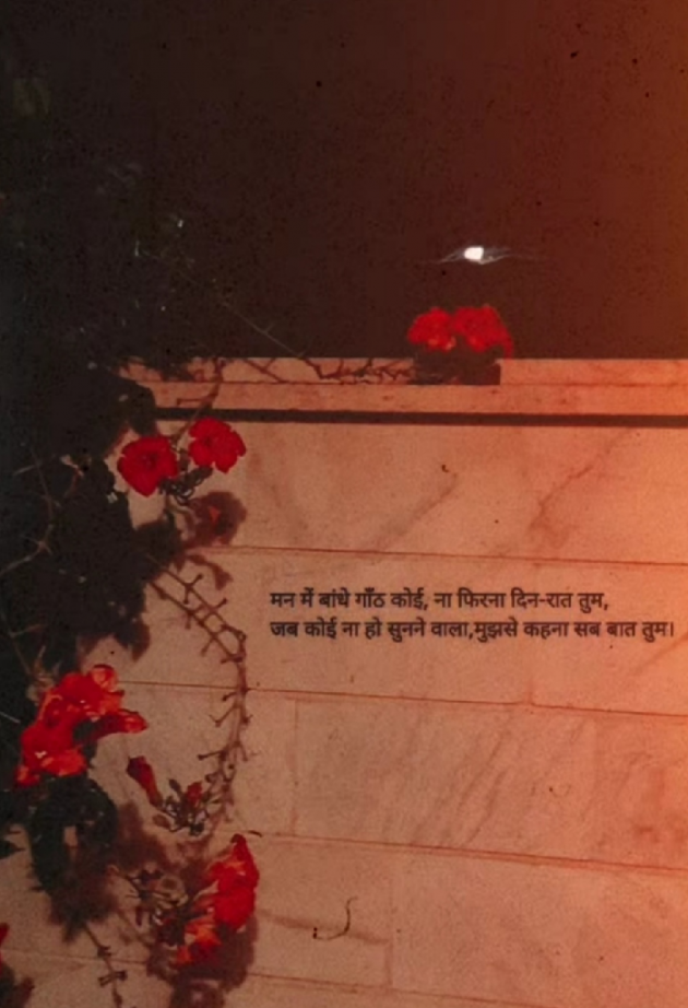 Hindi Shayri by Ria Sharma : 111870427