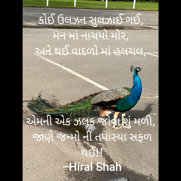 Gujarati Whatsapp-Status by Hiral Shah : 111870442