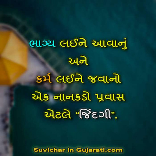 Gujarati Whatsapp-Status by Zala Jayvirsinh : 111871193