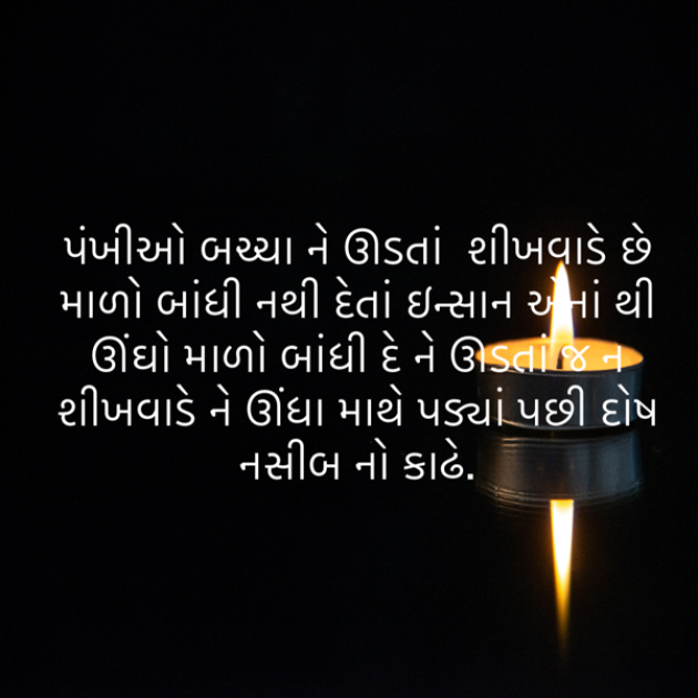 Gujarati Blog by ek archana arpan tane : 111871207