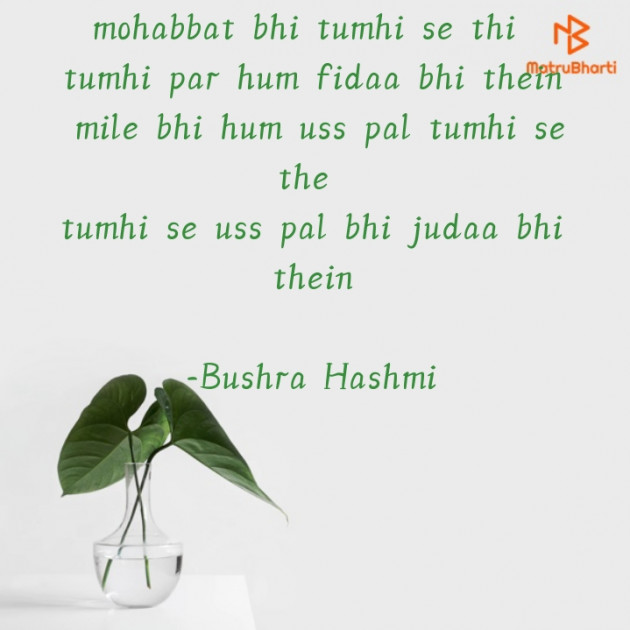 English Poem by Bushra Hashmi : 111871247