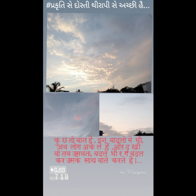 Gujarati Thought by ધારું : 111871920