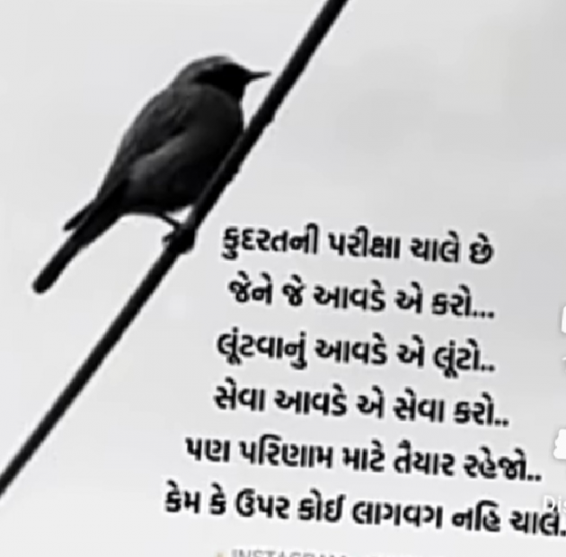 Gujarati Shayri by Mer Anil : 111871949