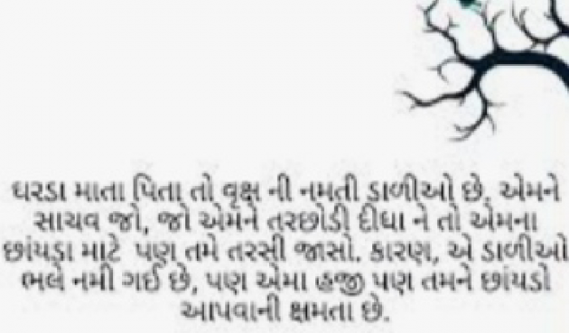 Gujarati Quotes by Mer Anil : 111871957