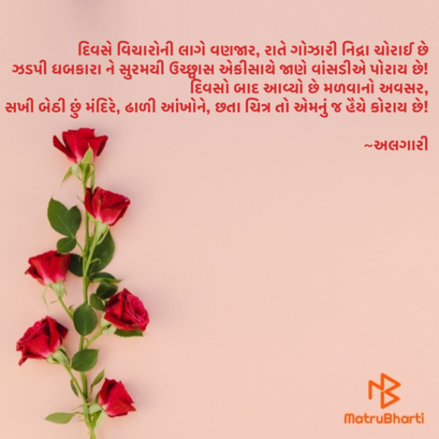 Gujarati Poem by Ranveer Algari : 111872019