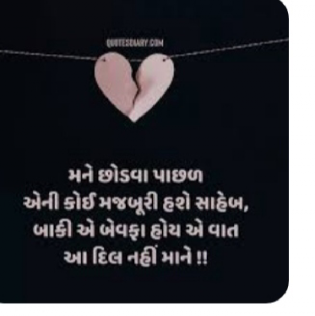 Gujarati Shayri by Mer Anil : 111872297