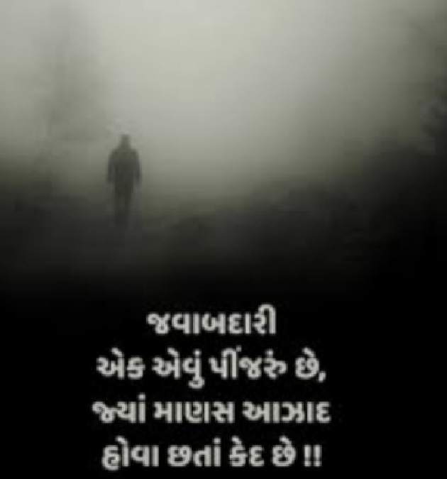 Gujarati Shayri by Mer Anil : 111872303