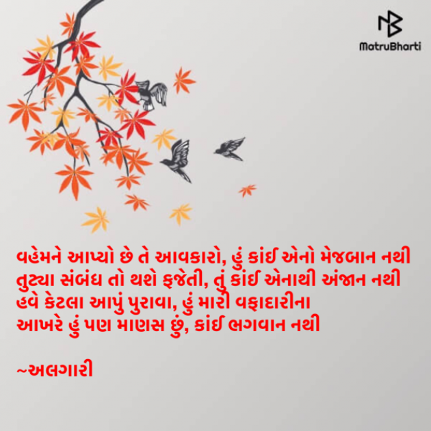 Gujarati Shayri by Ranveer Algari : 111872434