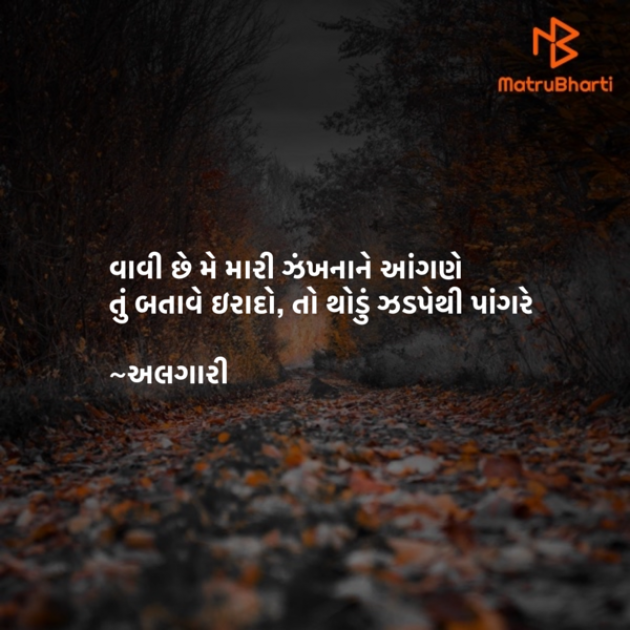 Gujarati Shayri by Ranveer Algari : 111872643