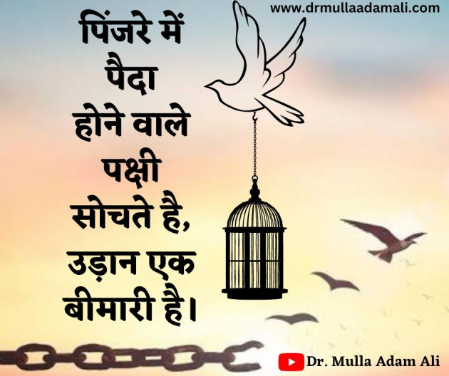 Hindi Quotes by Dr Mulla Adam Ali : 111872665