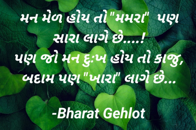 Gujarati Whatsapp-Status by B     Gov Of Guj : 111872744