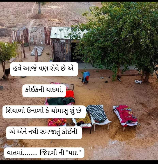 Gujarati Whatsapp-Status by Ajit : 111873001