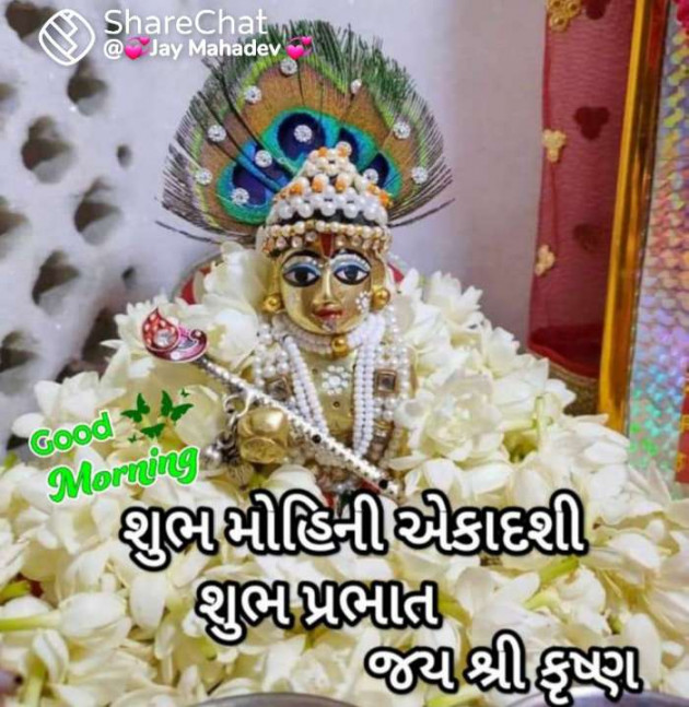 Gujarati Whatsapp-Status by Zala Jayvirsinh : 111873080