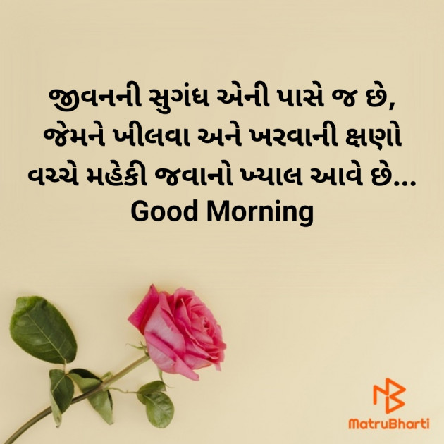 Gujarati Good Morning by Nirav Devani : 111873576