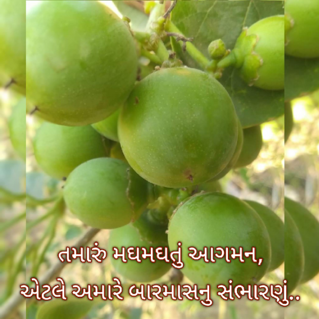 Gujarati Blog by Bhavna Bhatt : 111873653