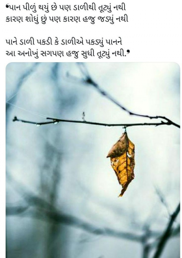 Gujarati Shayri by Balkrishna patel : 111873725