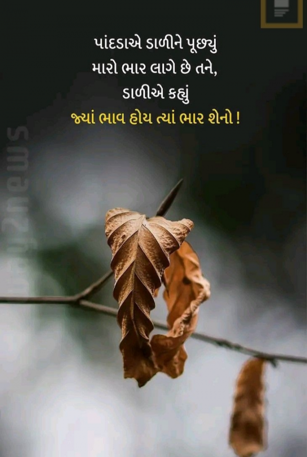 Gujarati Shayri by Balkrishna patel : 111873726