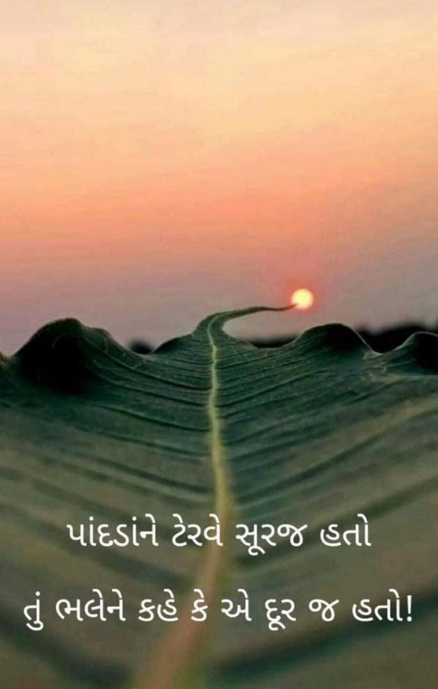 Gujarati Shayri by Balkrishna patel : 111873803
