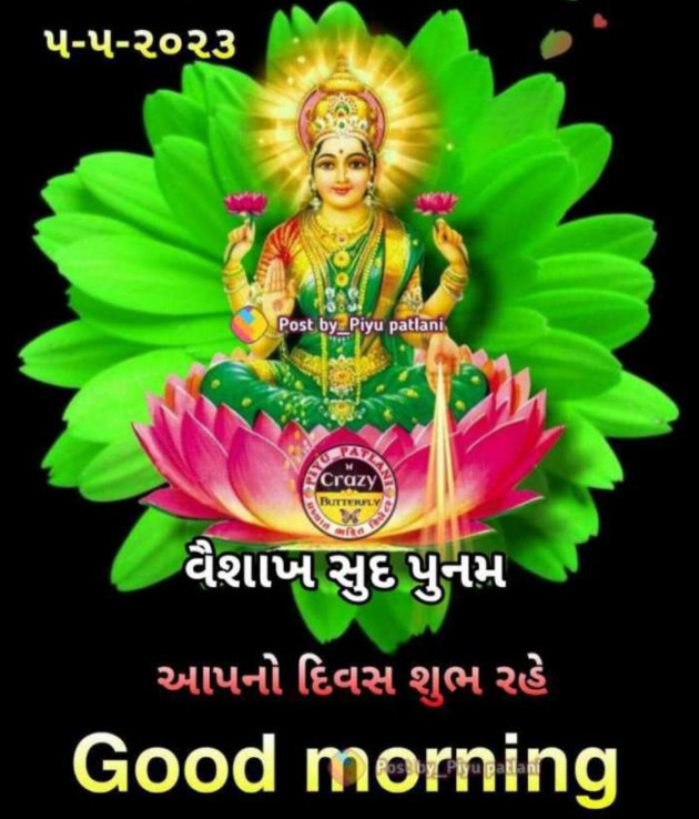 Gujarati Whatsapp-Status by Zala Jayvirsinh : 111873835