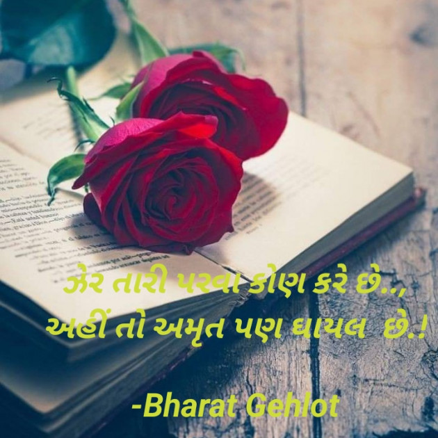 Gujarati Whatsapp-Status by B     Gov Of Guj : 111873857