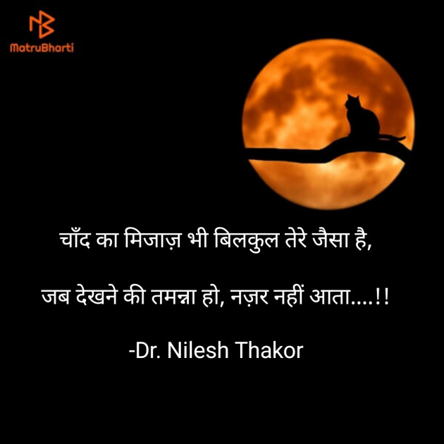 Hindi Shayri by Dr. Nilesh Thakor : 111874239