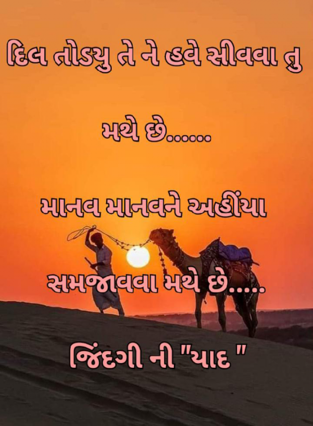 Gujarati Whatsapp-Status by Ajit : 111874290