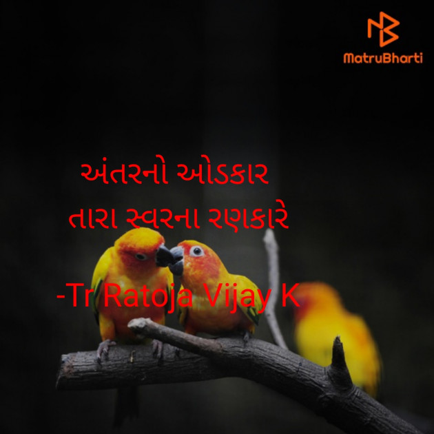 Gujarati Shayri by Tr Ratoja Vijay K : 111874512