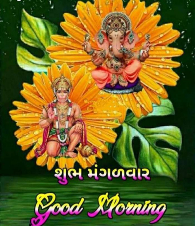 Gujarati Whatsapp-Status by Zala Jayvirsinh : 111874551