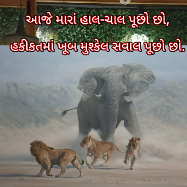 Gujarati Blog by Bhavna Bhatt : 111874788