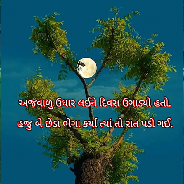 Gujarati Blog by Bhavna Bhatt : 111874993