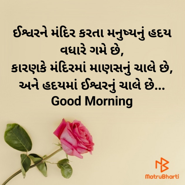 Gujarati Good Morning by Nirav Devani : 111875288