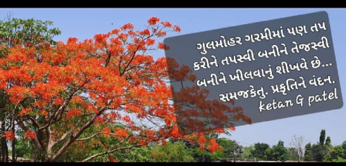 Post by કેતન પટેલ સમજકેતુ. on 13-May-2023 01:56pm