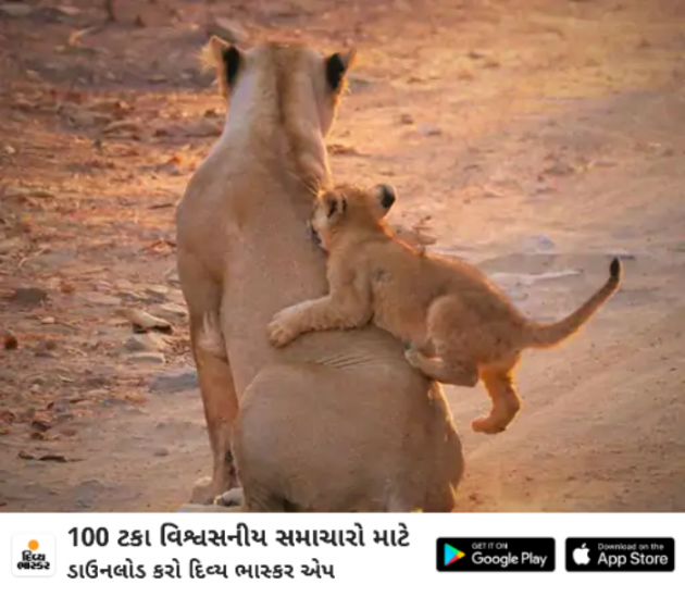 Gujarati Whatsapp-Status by Chandakant Solanki : 111875480