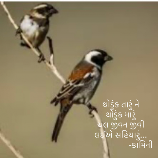 Gujarati Poem by Kamini Shah : 111875846