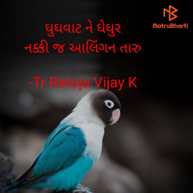 Gujarati Shayri by Tr Ratoja Vijay K : 111875989