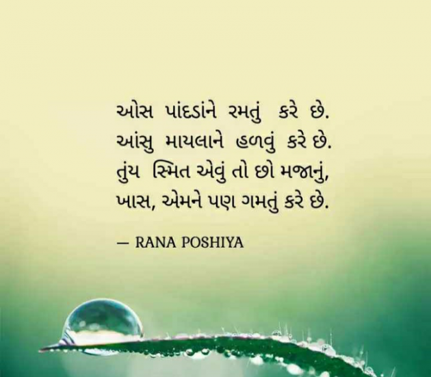 Gujarati Quotes by R G POSHIYA : 111876474