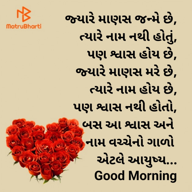 Gujarati Good Morning by Nirav Devani : 111876785