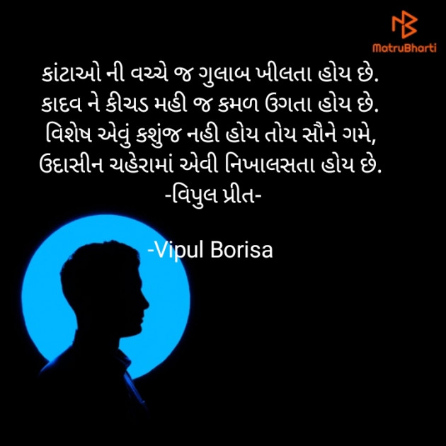 Gujarati Whatsapp-Status by Vipul Borisa : 111876960