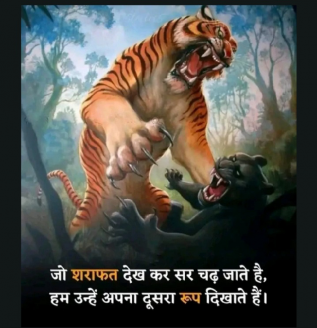 Hindi Thought by Madhu : 111878024