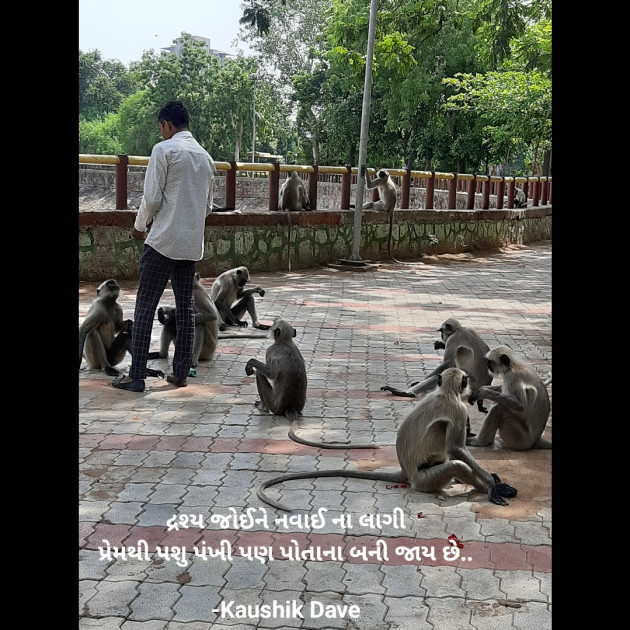 Gujarati Blog by Kaushik Dave : 111878116